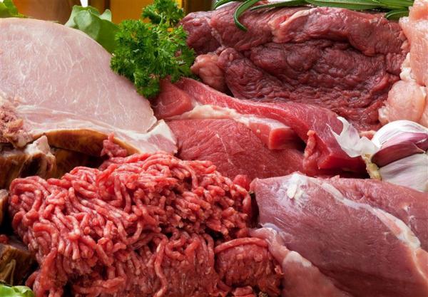 صادرات عمده گوشت گرم عمده