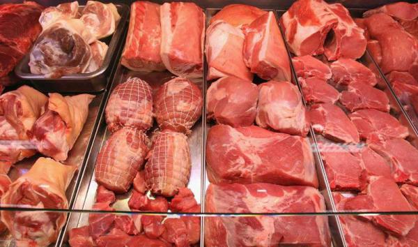 مراکز عرضه گوشت شتر عمده