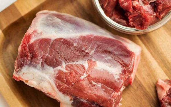 صادرکنندگان انواع گوشت شتر تازه