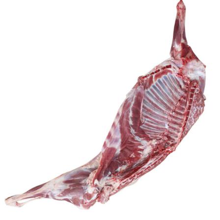 قیمت گوشت دنده بره در بازار