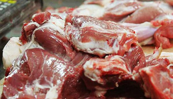 نکاتی در مورد خرید گوشت شتر