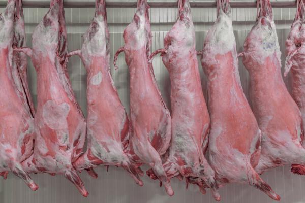 چرا گوشت گوسفندی عمده بخریم؟